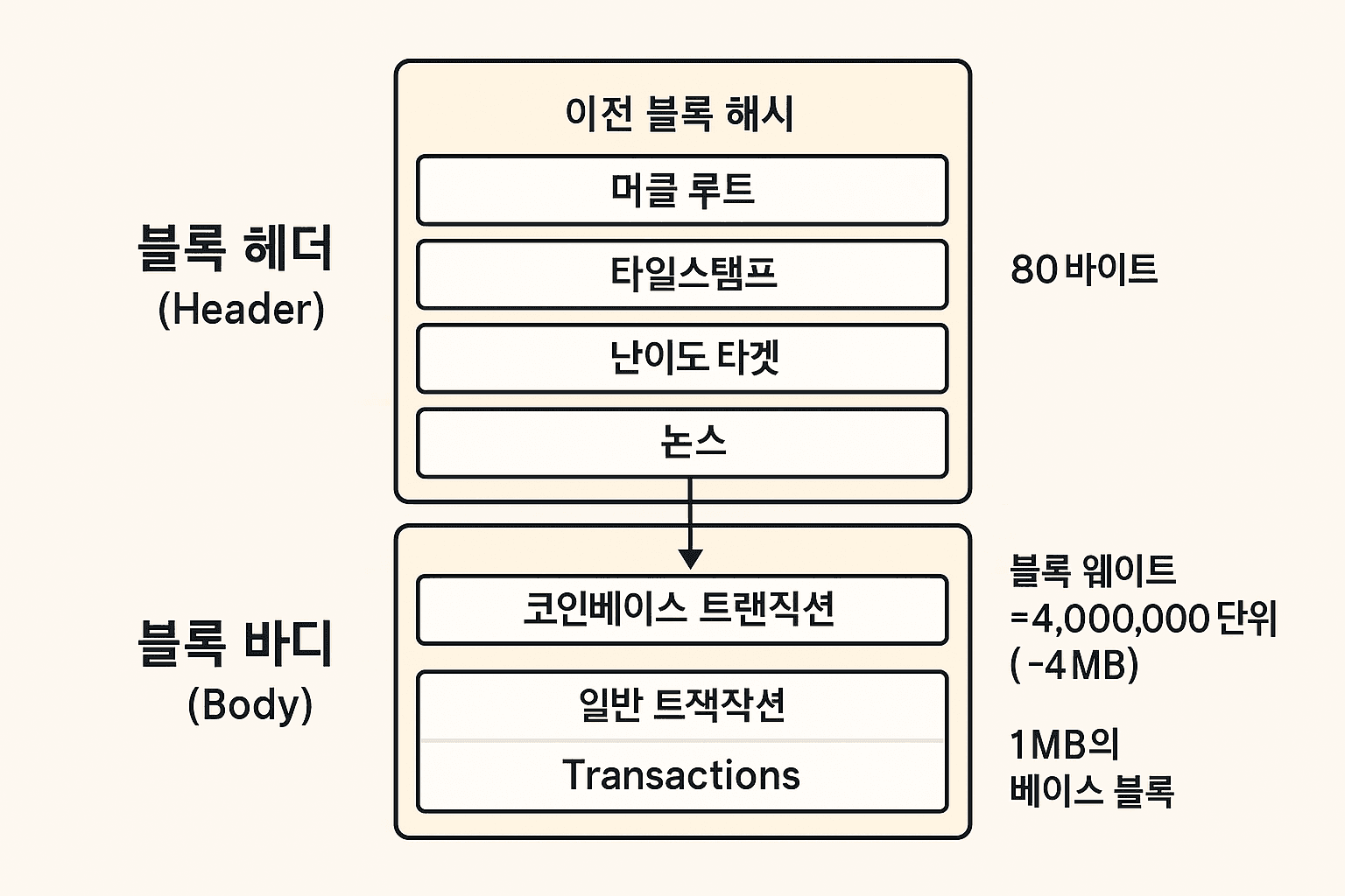 블록체인 코스 #5: 비트코인 블록 구조 가이드(헤더·바디 핵심)